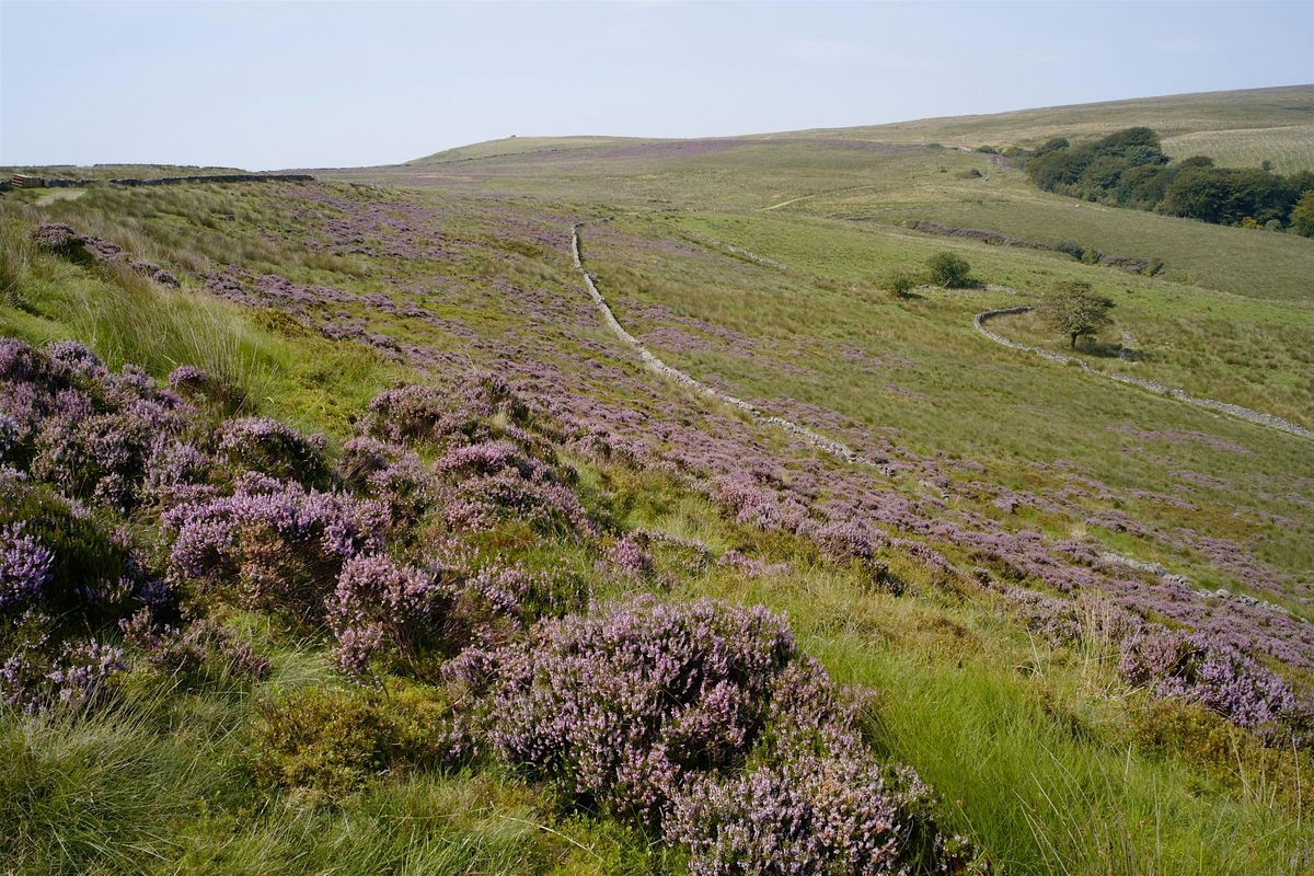 Barrow Bridge and Burnt Edge walk at Smithills Estate
