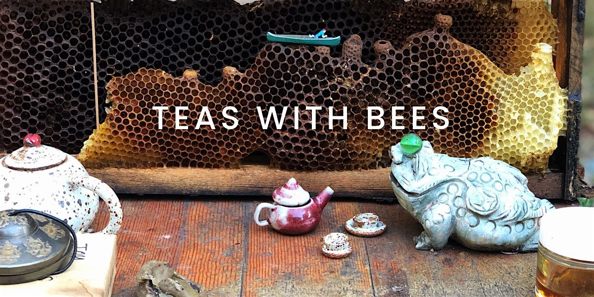 Teas With Bees: A Tea Ceremony Meditation in a Sanctuary for Rescued Bees