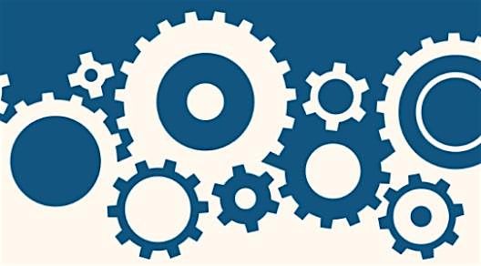 Populist Radical Right Parties in Action: The Survival of the Mass Party