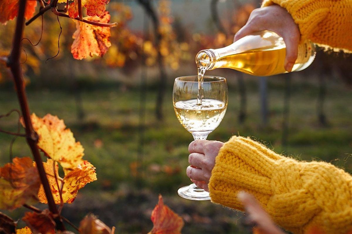 Simms Steakhouse - Harvest and Vine Dinner