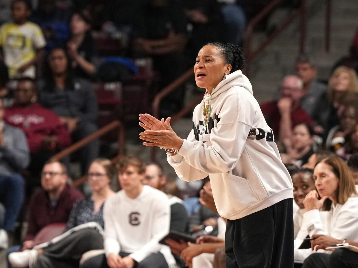 South Carolina Gamecocks vs. Davidson Wildcats