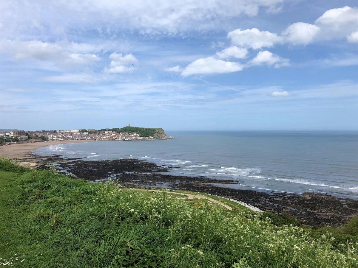 Dinosaur Footprints Walk