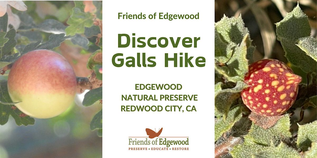 Special Discover Galls Hike at Edgewood Park and Natural Preserve