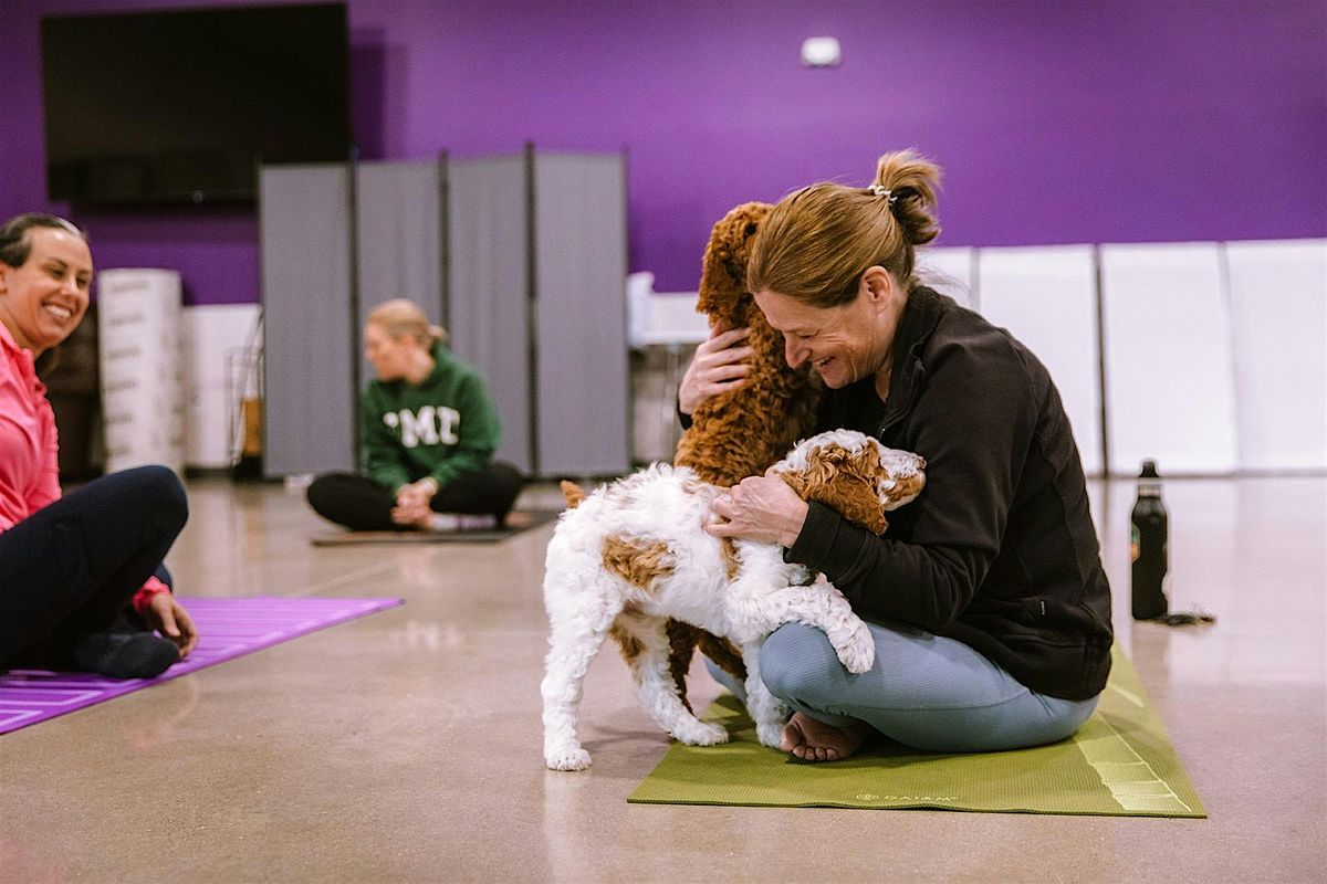Canines for Change Puppy Yoga