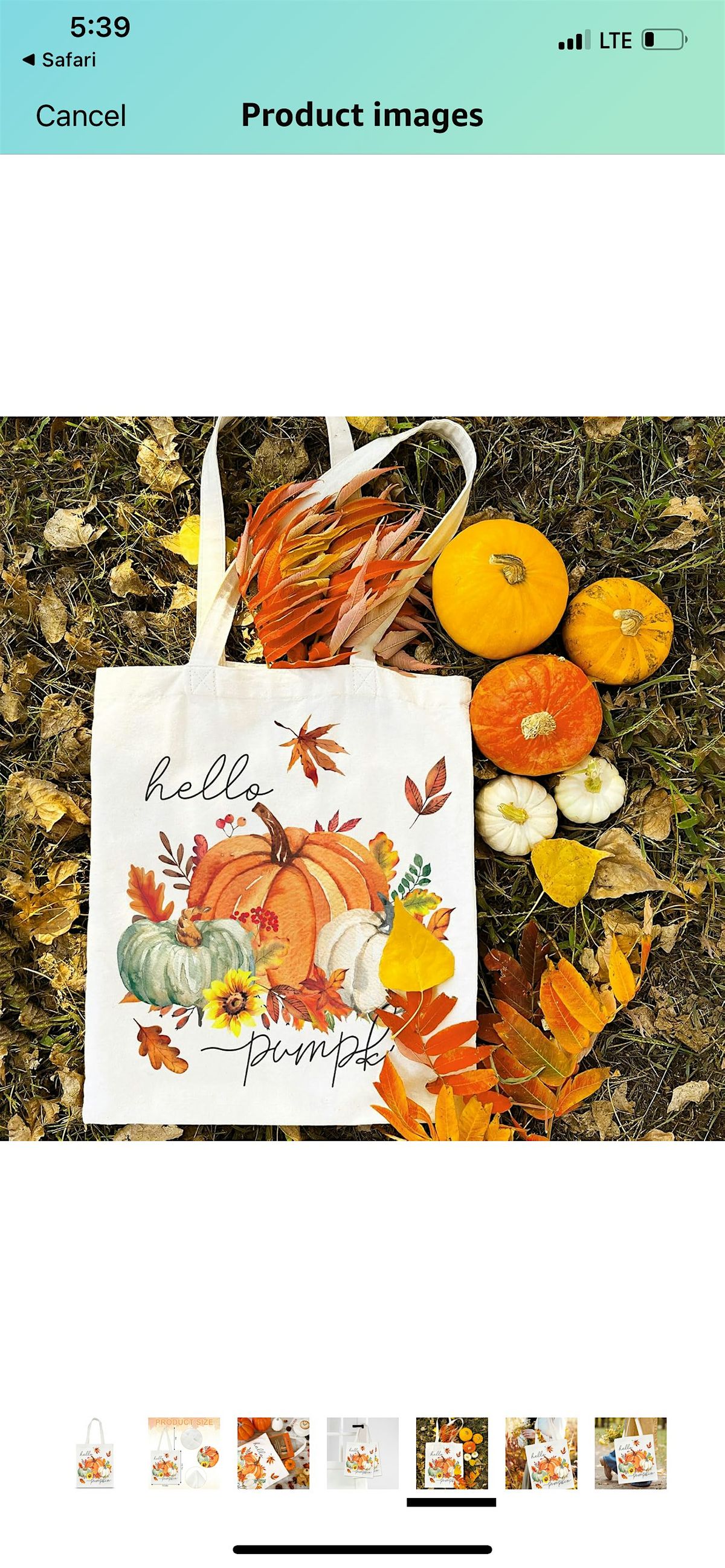 Pumpkins & Paintbrushes