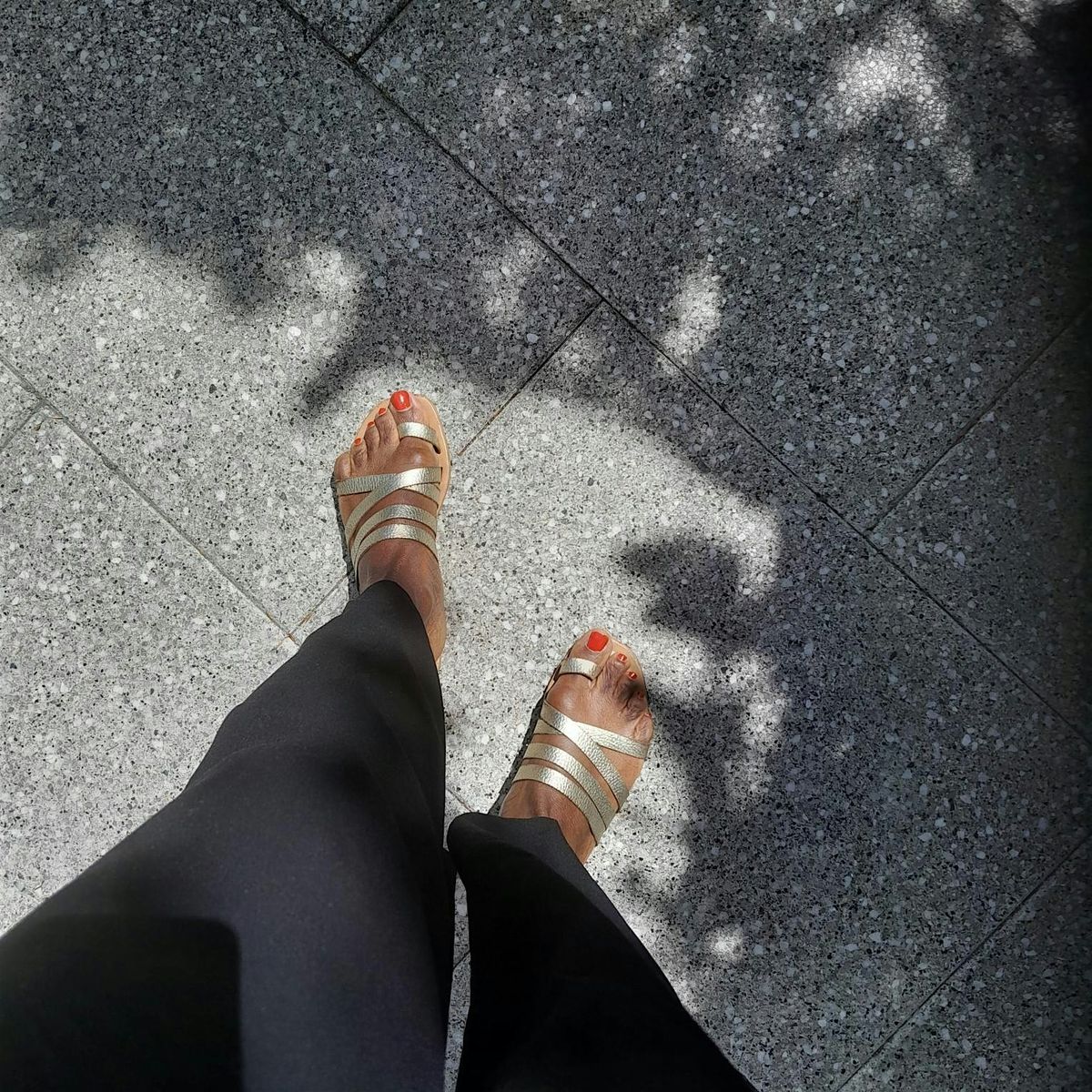 House of Amma walk - The Art of Living