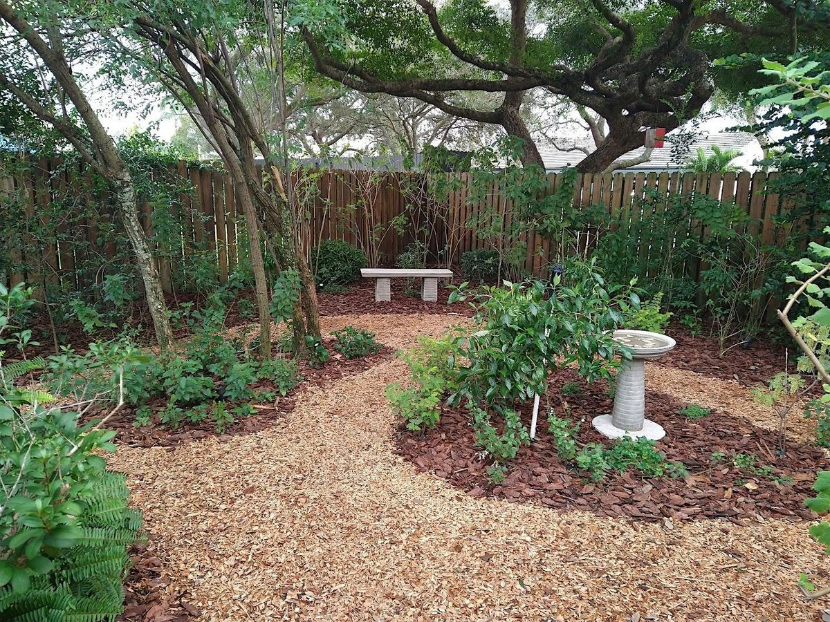 Shade Gardening: Selecting the Right Plants for Your Shade Spaces