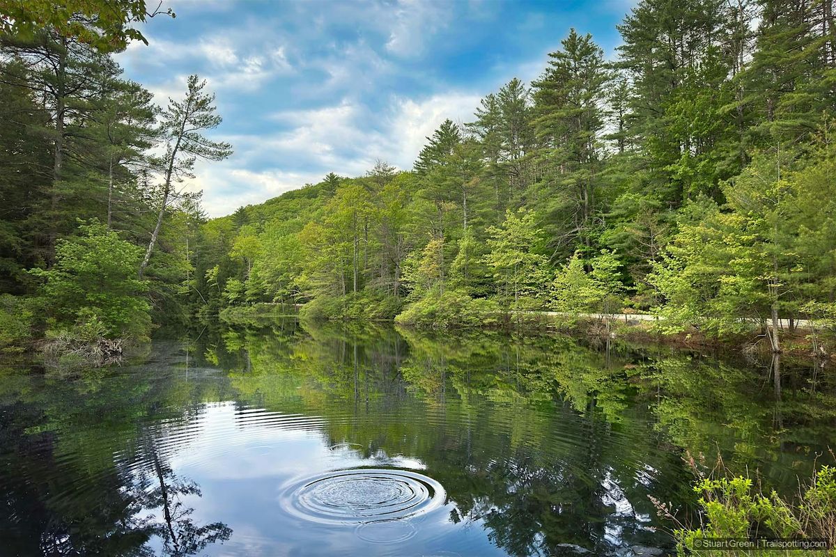 Marjory Swope Park Guided Hike with Ample Access Outdoors