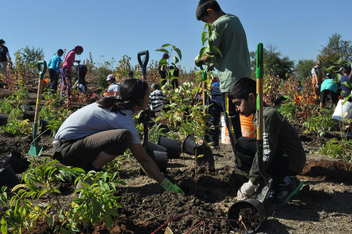 TRICK or TREE Community Tree Planting at Manitou Park