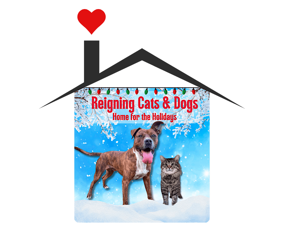 34th Annual Reigning Cats & Dogs: Out of this World