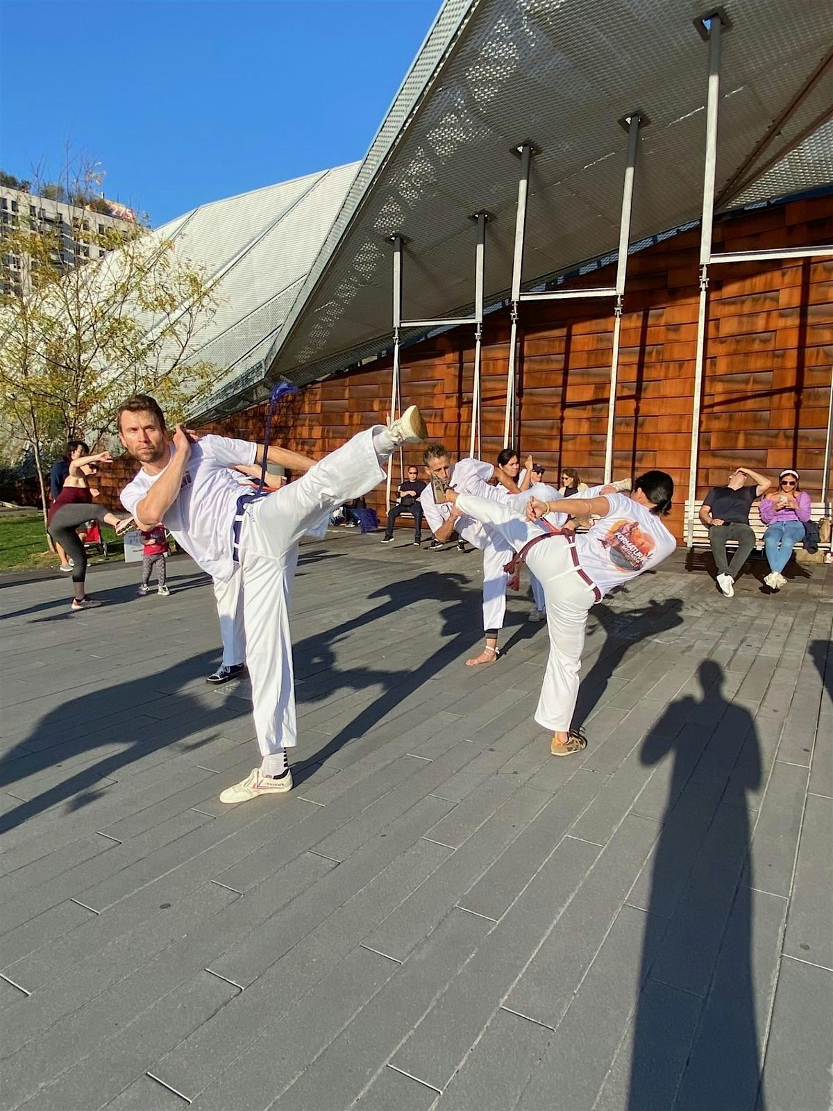 Intro to Capoeira Series