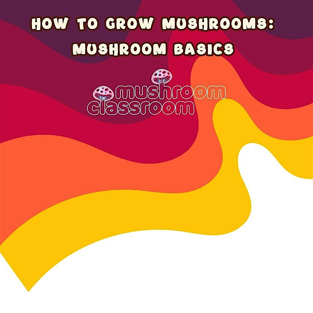 How to Grow Mushrooms Class