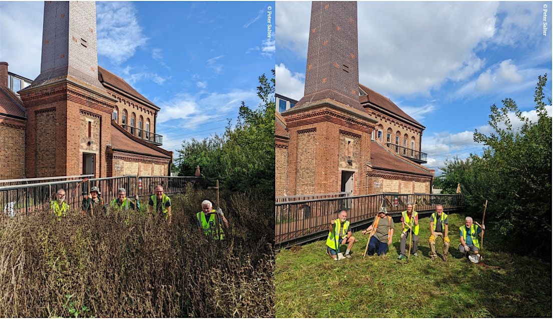 Wetlands Workshop: Introduction to Scything
