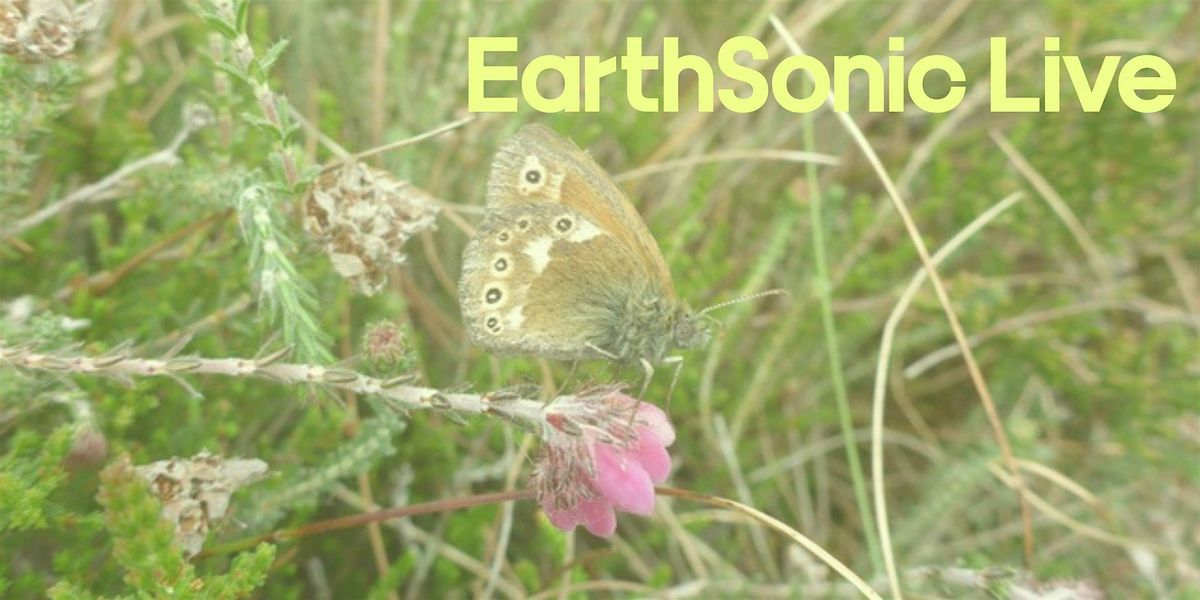 Bringing the Manchester Argus butterfly home, with The Wildlife Trust