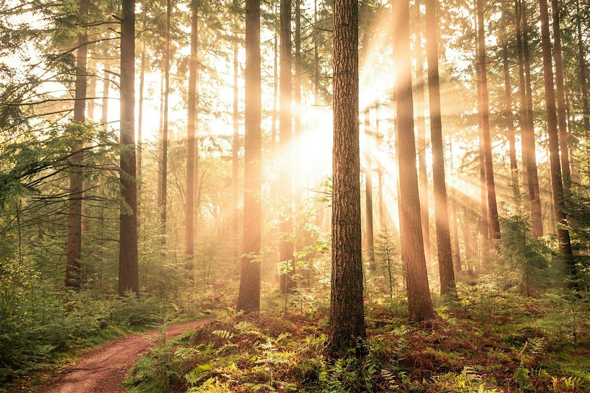 A Group Mediumship Reading with Mary Stevens