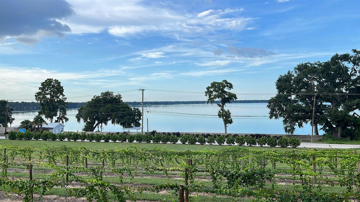 Pilates & Wine Tasting at The Osprey View