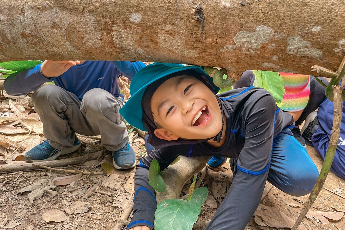 Forest Scouts Holiday Camp