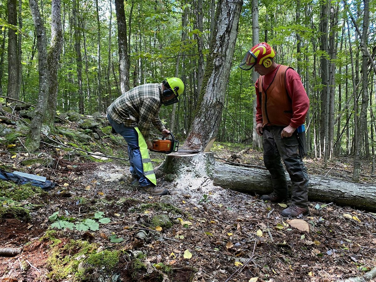 Game of Logging: Level 1