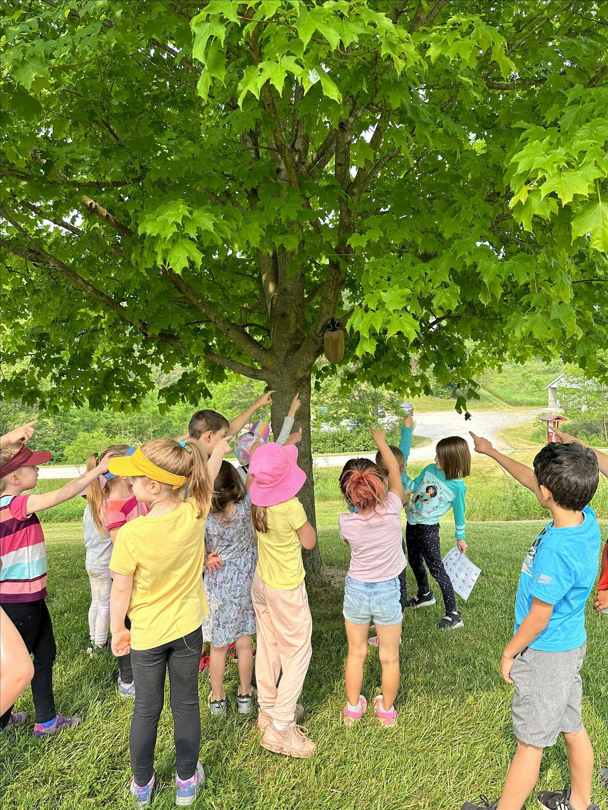 TuscParks Homeschool Wednesday 2025