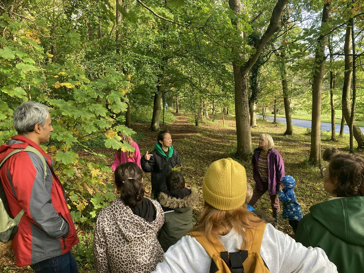 Tree ID Walk at Porthkerry Country Park