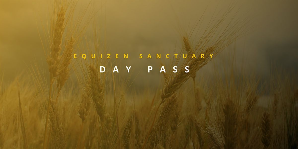Day ticket to EquiZen Sanctuary
