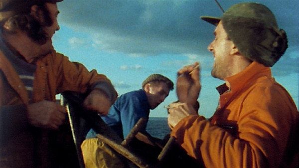 Baltic Cinema: In Fading Light