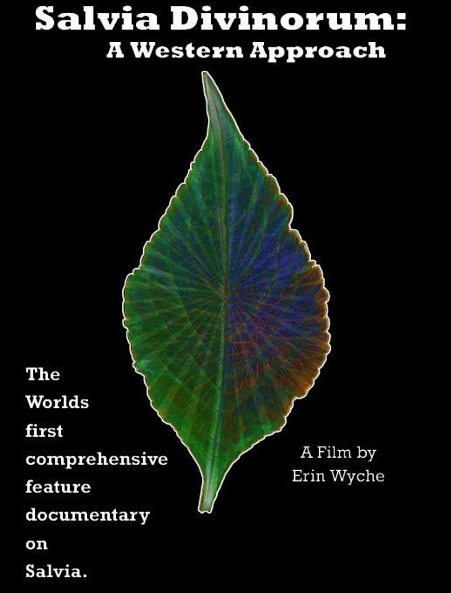 Film Screening - Salvia Divinorum: A Western Approach