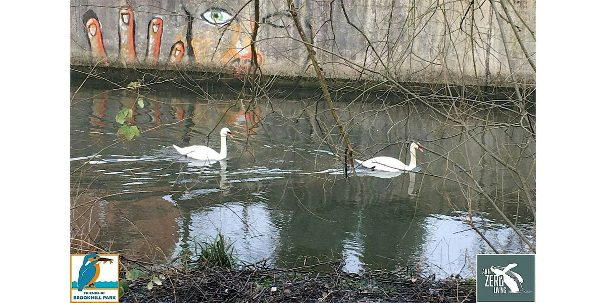 Introduction to Green Cleaning Solutions