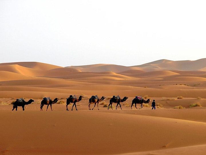 Magical Christmas Sahara Desert Camel Trek - 7 days depart Marrakech ...