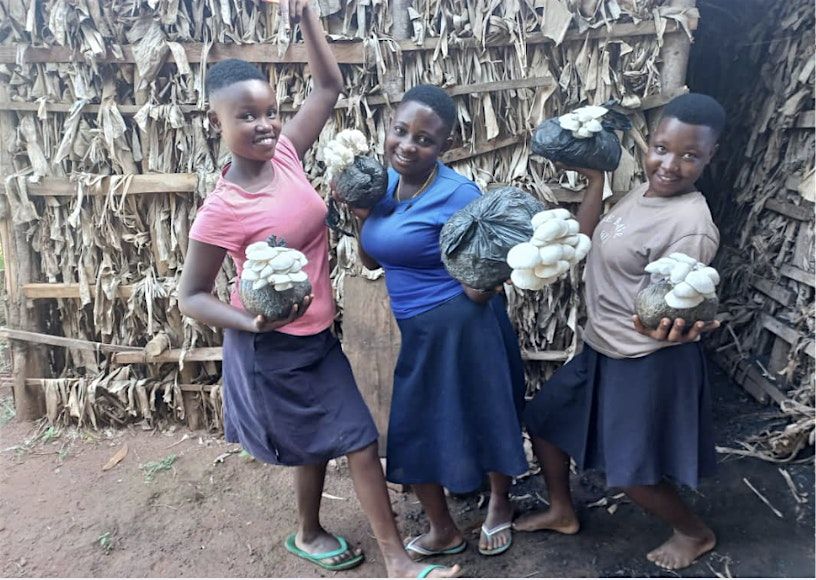 3rd Annual African Rising Mushroom Festival