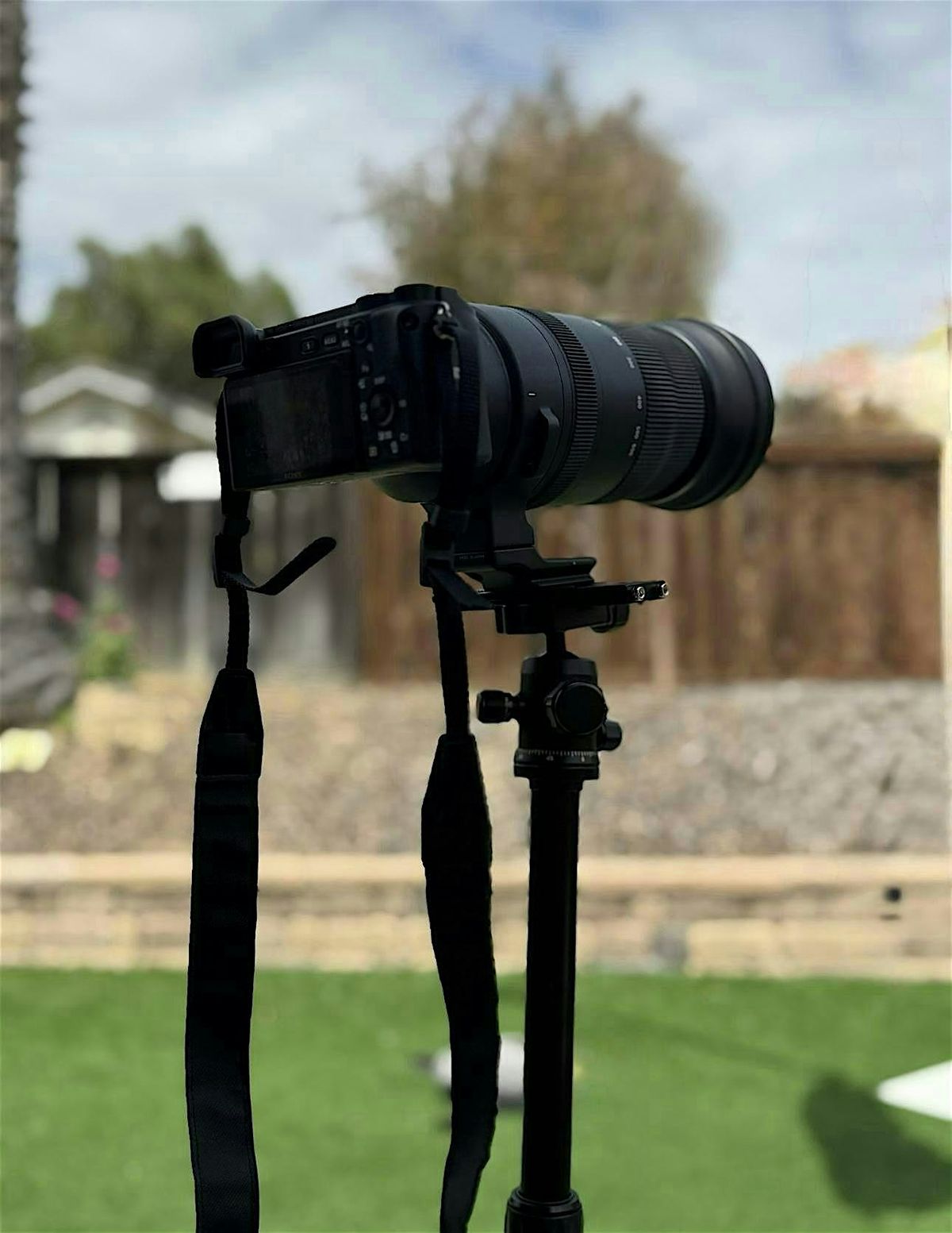 Copy of Sony camera photography meet up