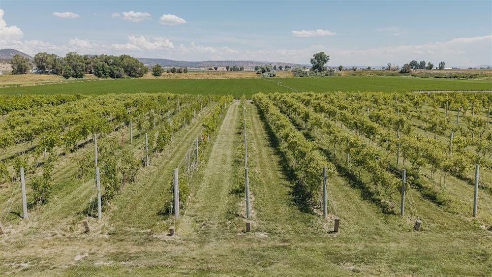 2nd Annual Volcanic Winery Harvest Festival