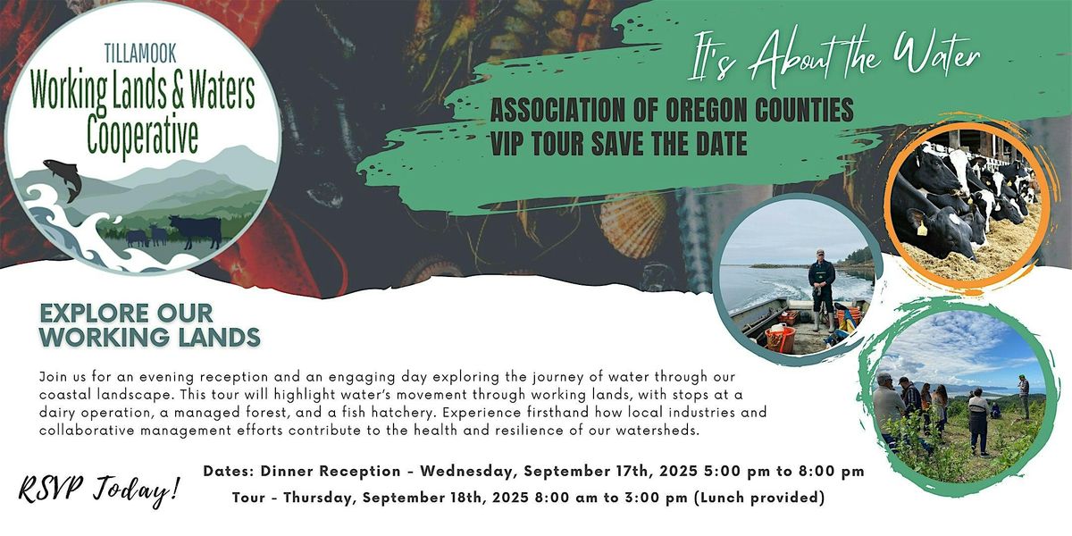 It's About the Water | Tillamook VIP Tour