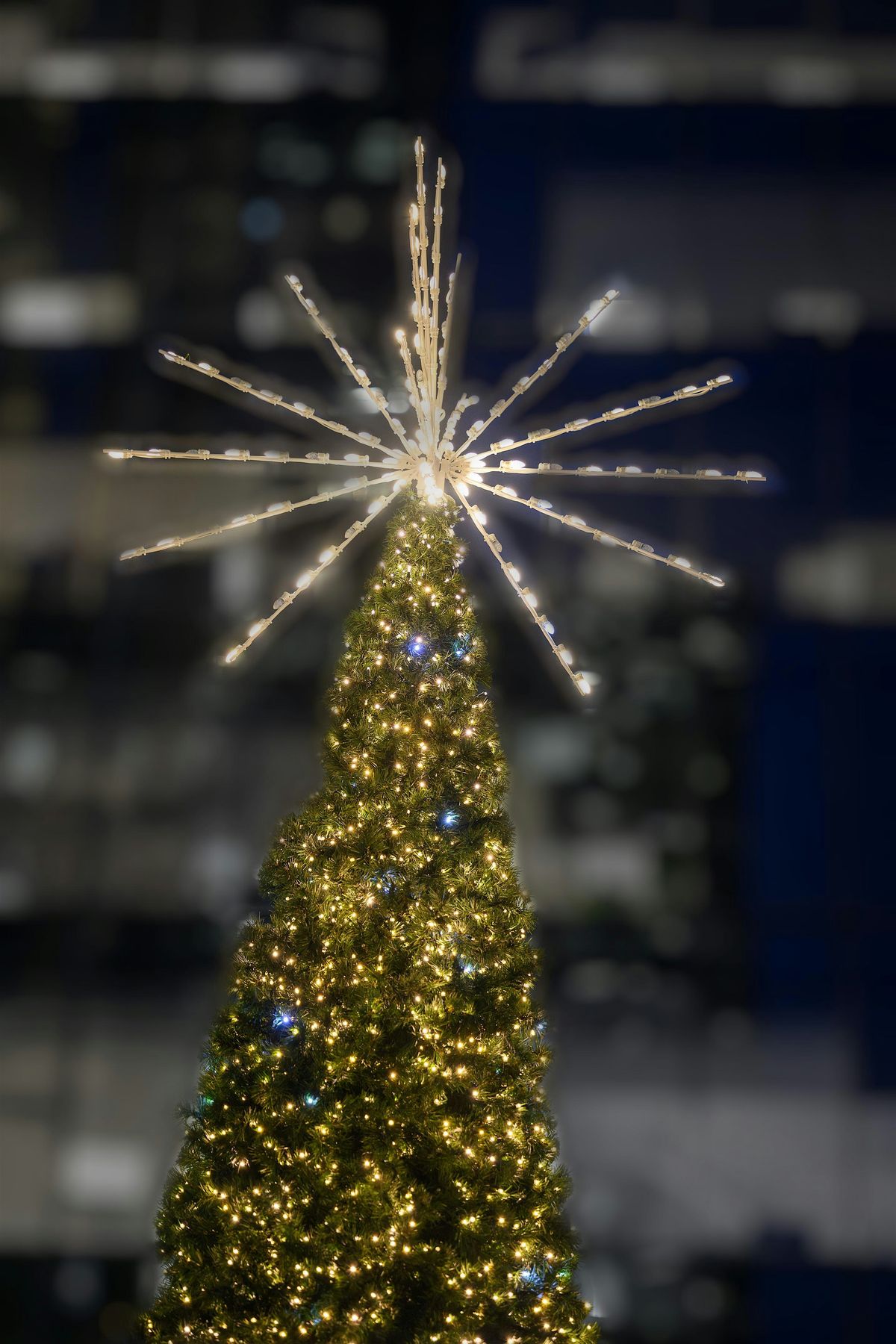 Scarborough Town Centre - Tree Lighting Ceremony