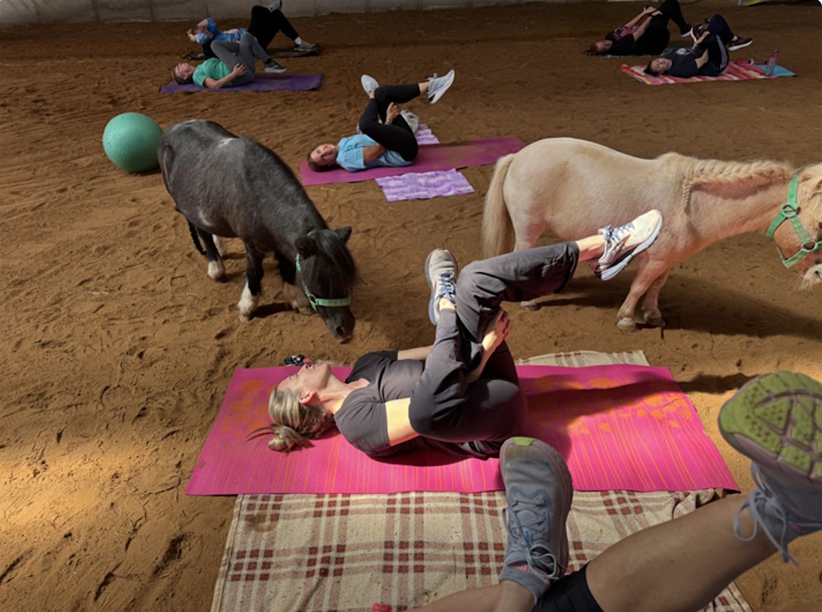 Yoga with the Horses