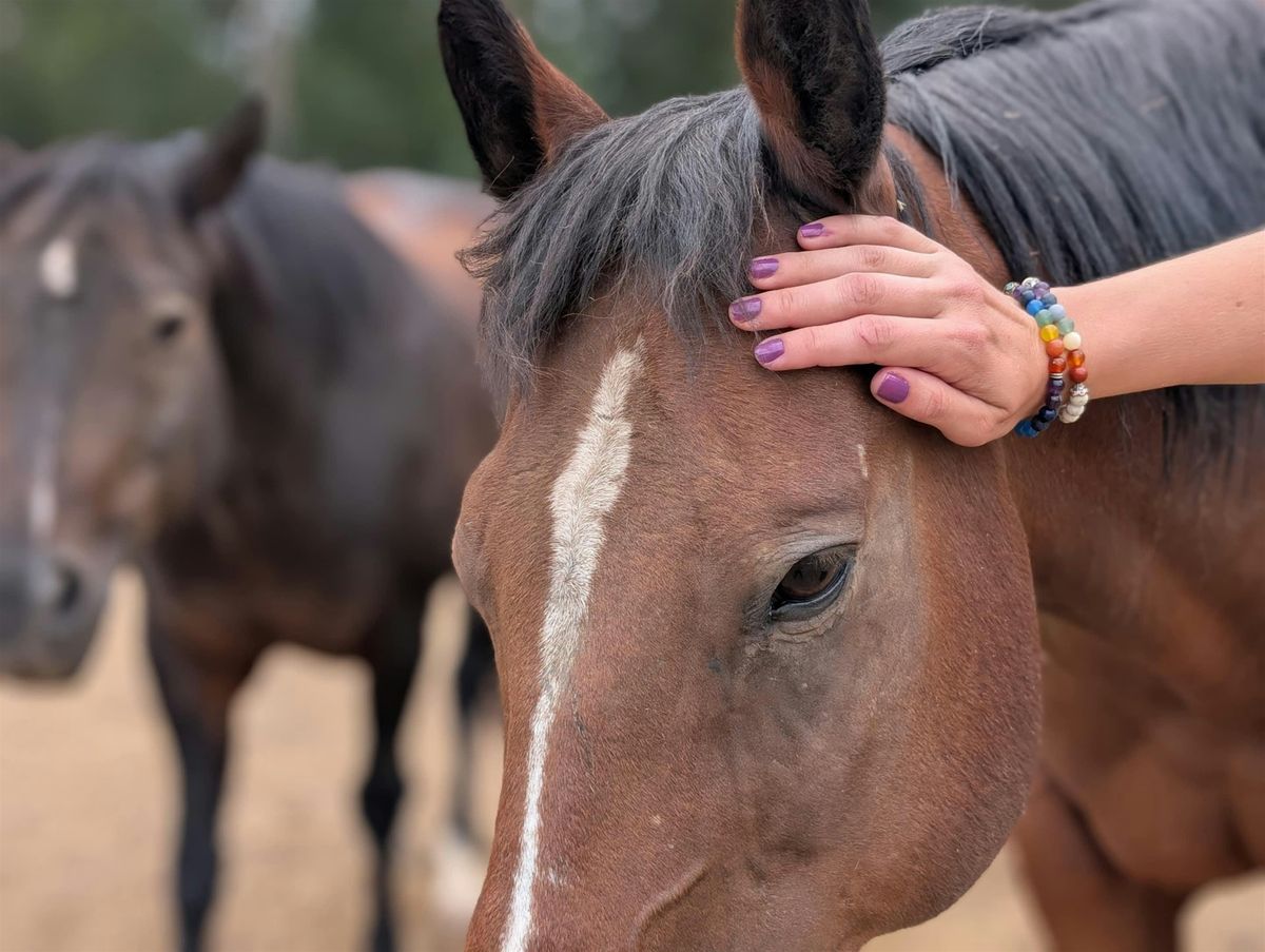 Queer Connection: Equine-Assisted Workshop
