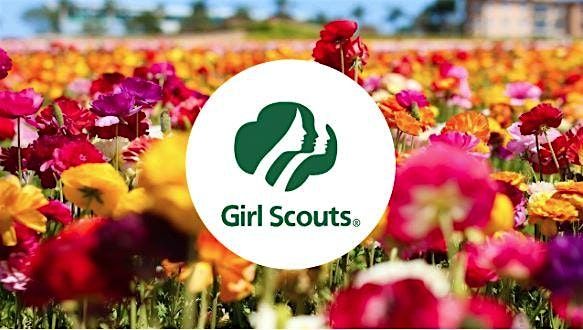 Girl Scout Education Program for Daisies & Brownies