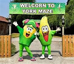 Move More Holiday Programme. Trip to York Maze. Friday 31st October
