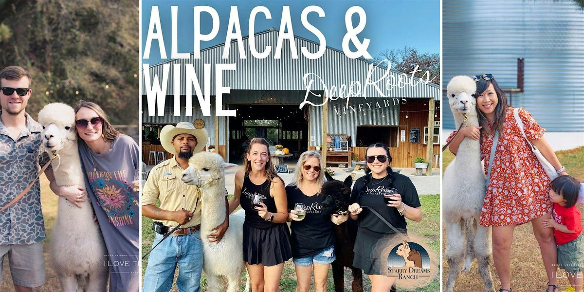 Alpacas & Wine Saturday  - DeepRoots Vineyards (November 22nd)