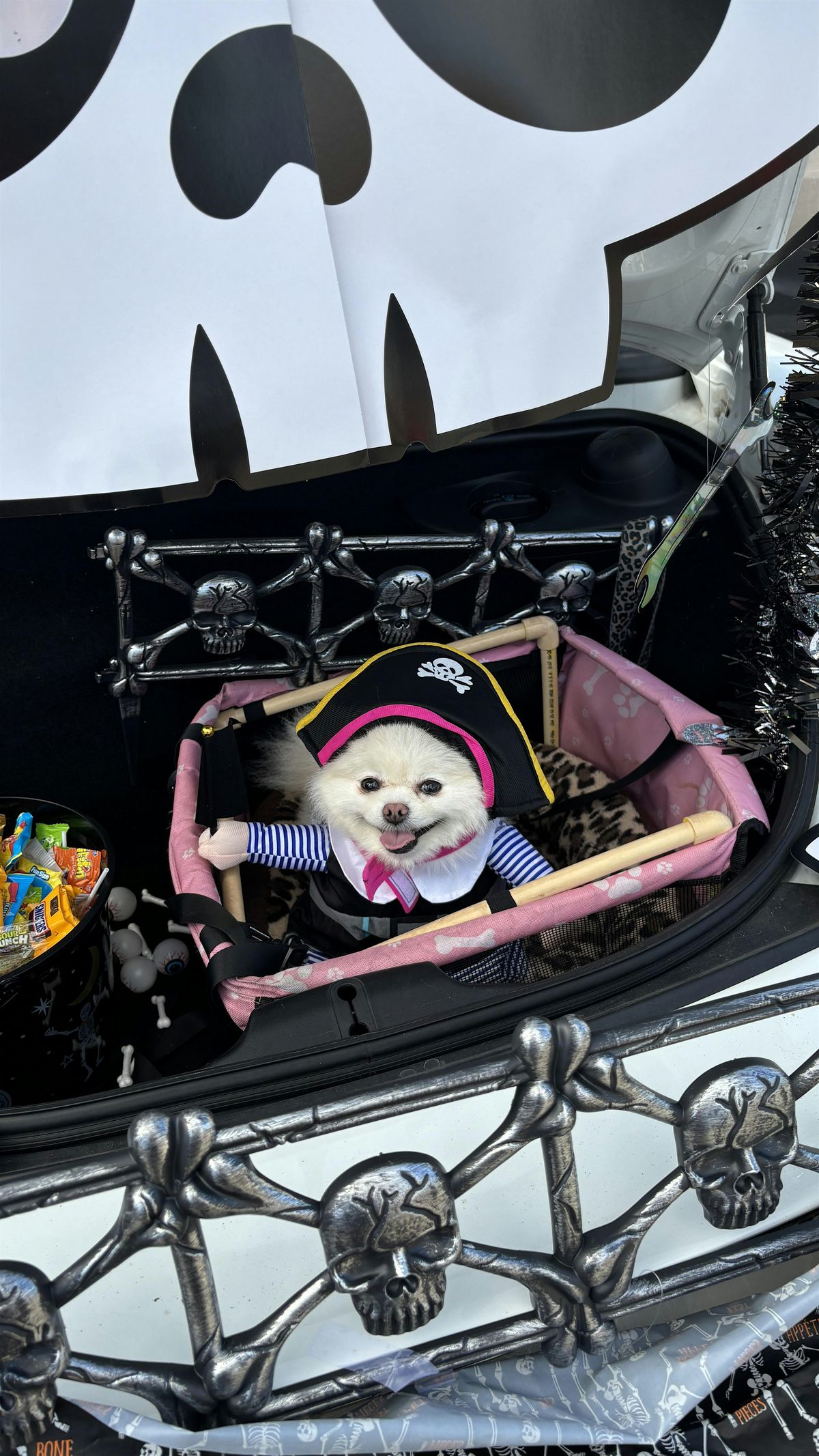 2nd Annual Trunk or Treat @ PLR