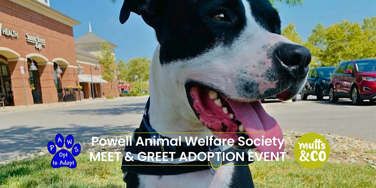 PAWS Meet & Greet (Dublin)