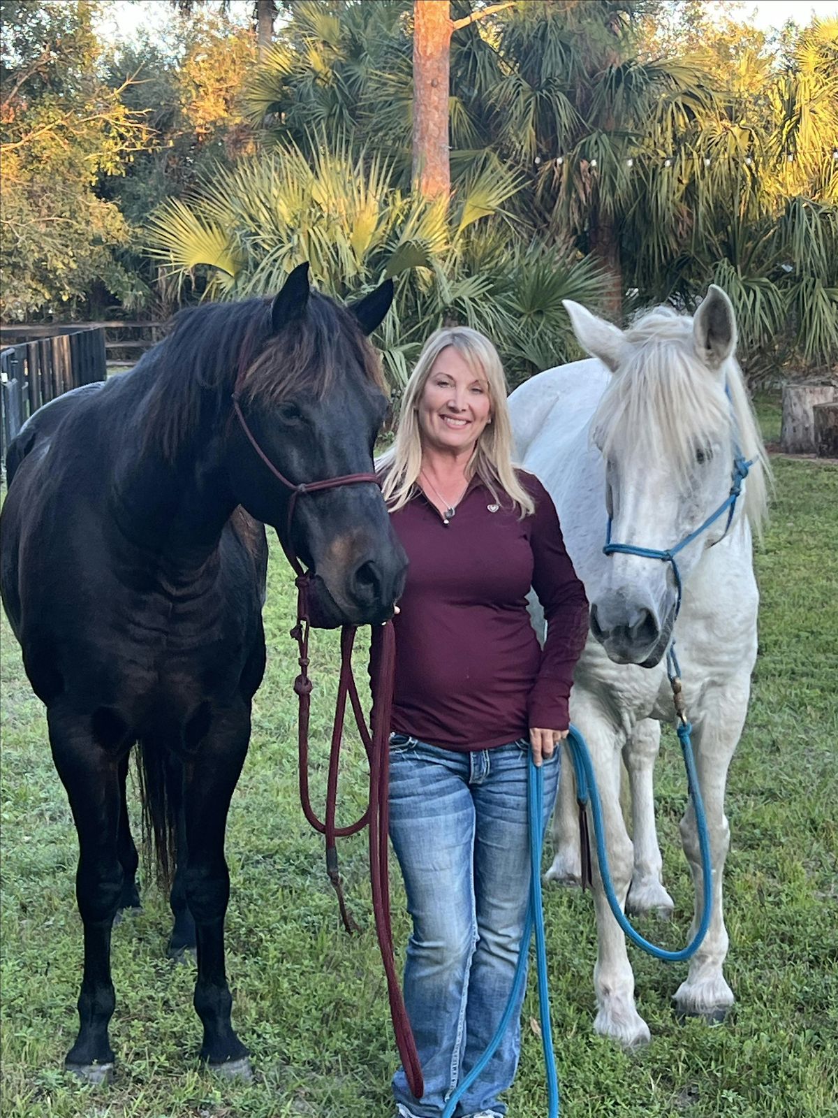 HARMONY & HORSES EQUINE GUIDED MEDITATION