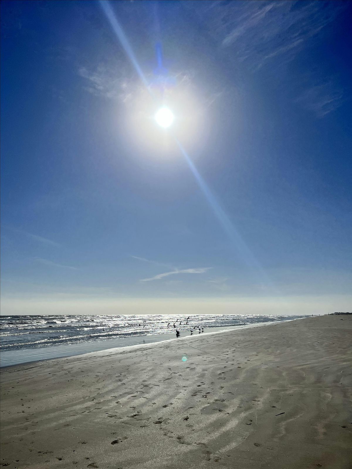 Meditation at the beach