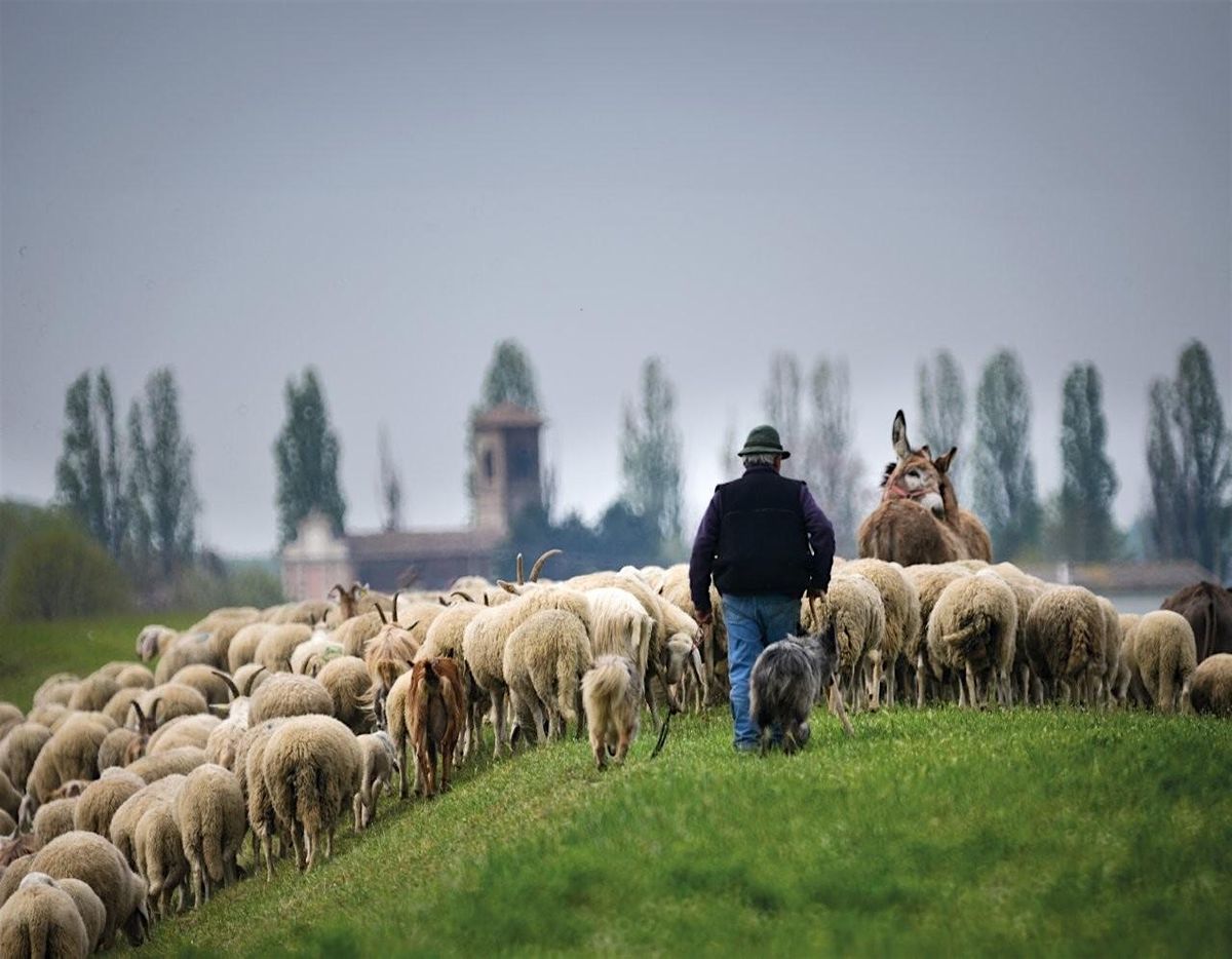 Pastoralismo in Lombardia: nuove forme e modalit\u00e0 di un lavoro antico