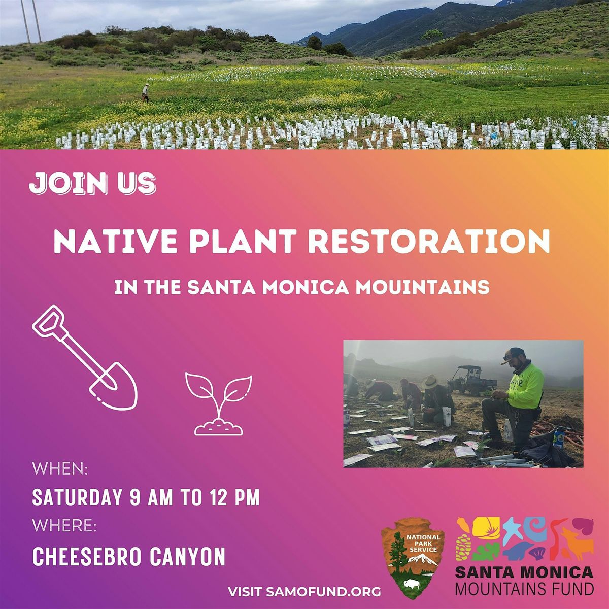 Saturday Coastal Sage Scrub Restoration: Cheeseboro Canyon