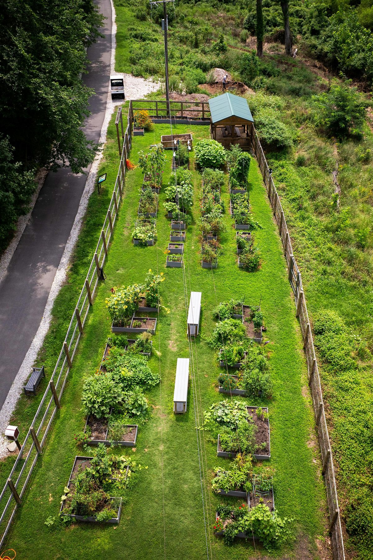 Volunteer in the Eco-Corridor - November 7