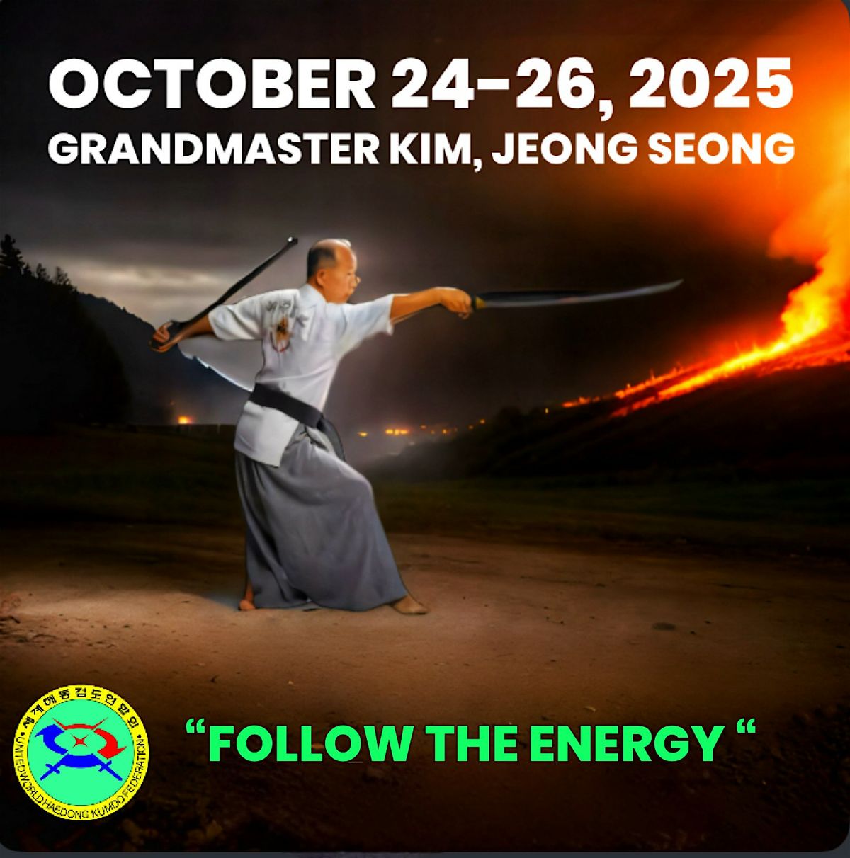 \u201c Follow the Energy\u201dA Haedong Kumdo seminar with GM Kim, Jeong Seong