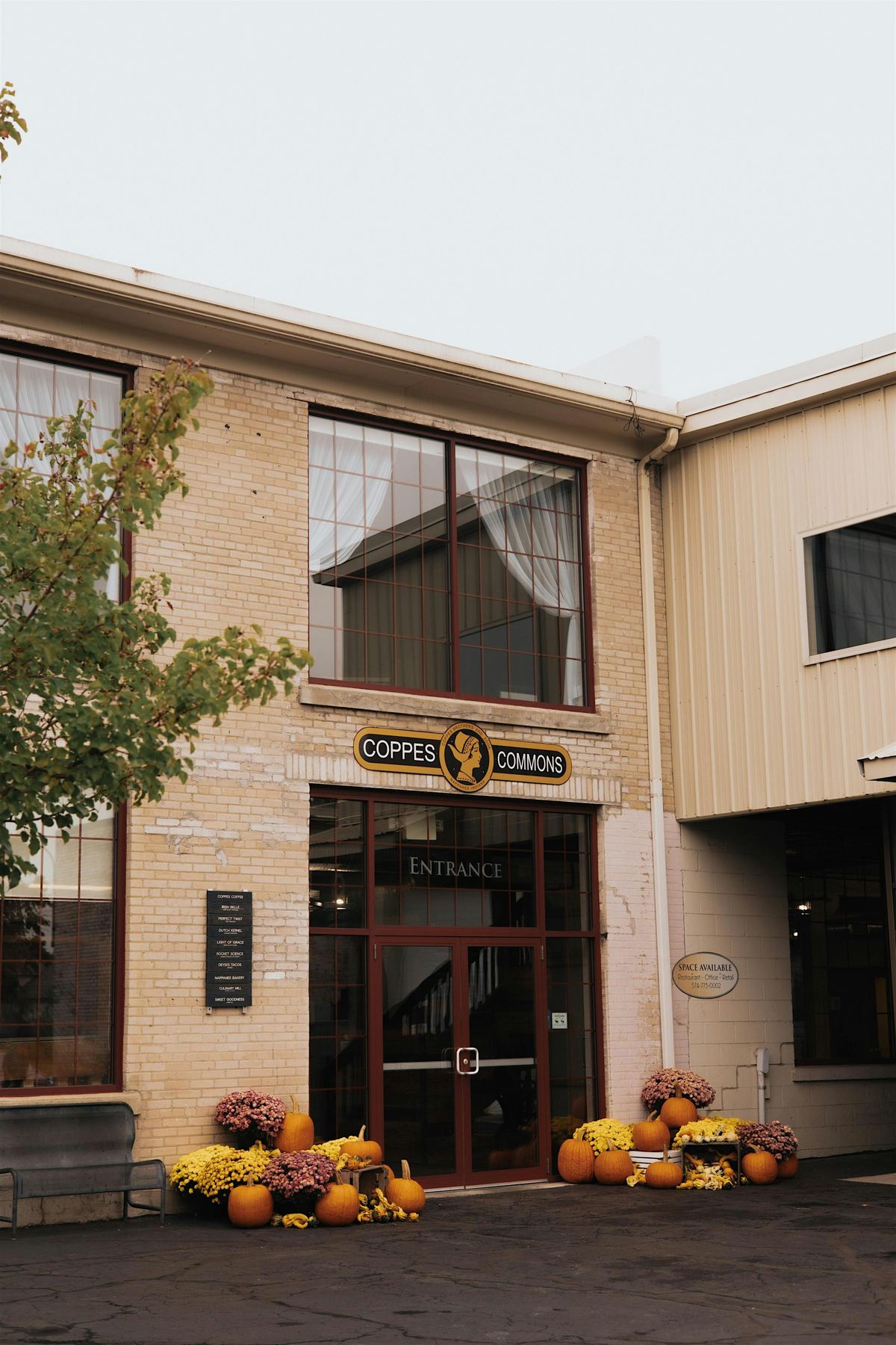 Pink Friday Coppes Crawl