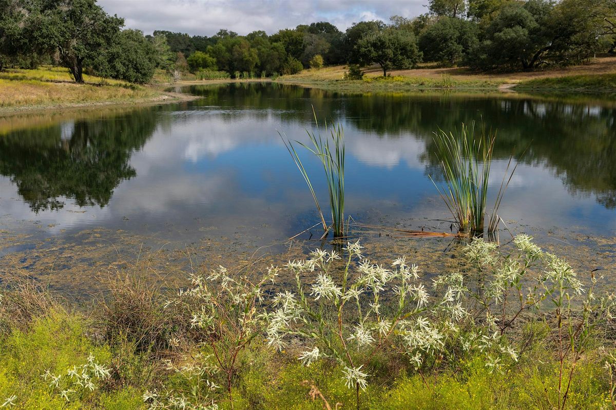 Pond Management Workshop