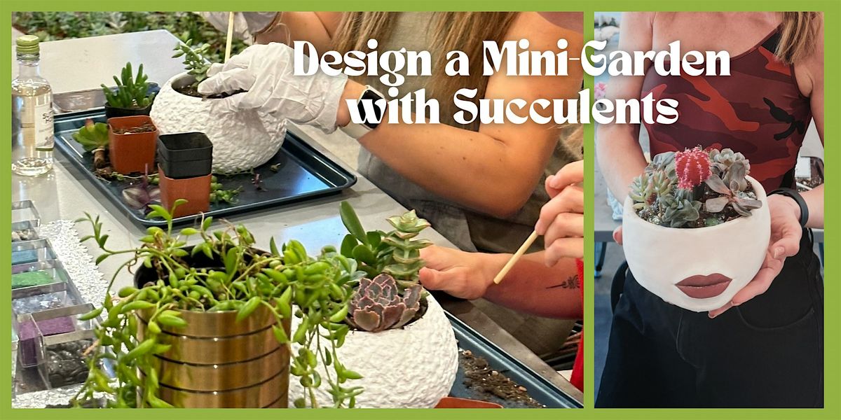 Design a Mini-Garden with Succulents
